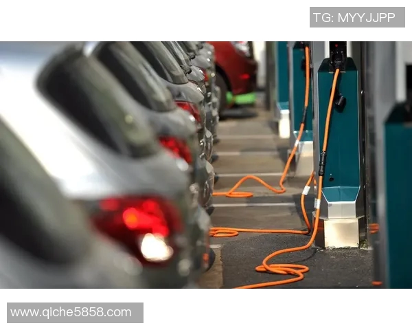 天猫与太阳比赛深度分析及胜负预测探讨